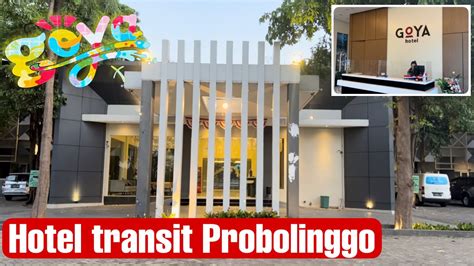 Hotel Transit Probolinggo Buat Road Trip Jawa Bali Goya Hotel Youtube