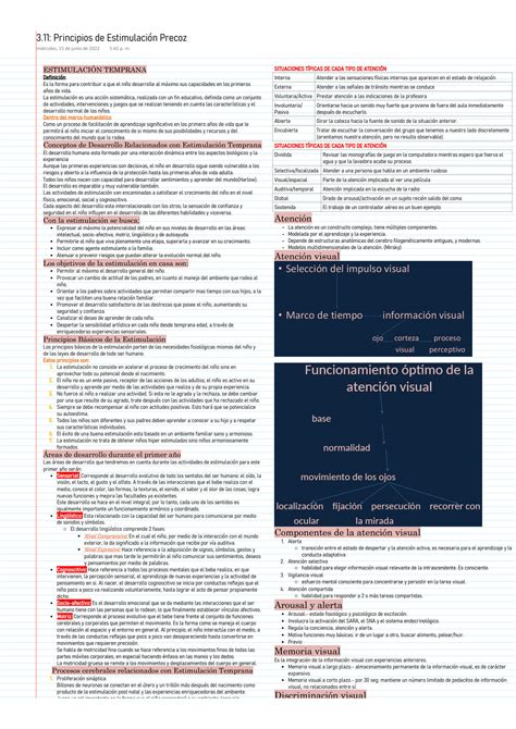 Solution Neurodesarrollo E Intervenci N Temprana Principios De