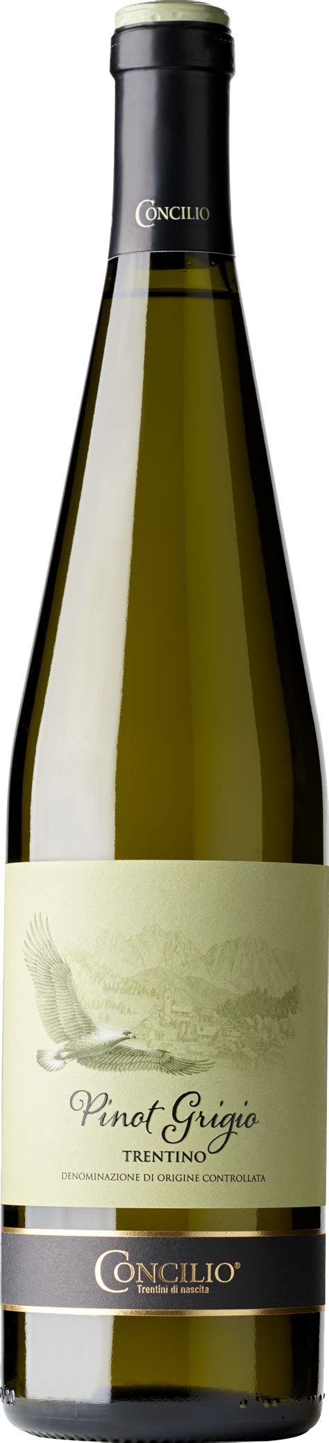 Concilio Classici Pinot Grigio Trentino 2022 Online Kaufen