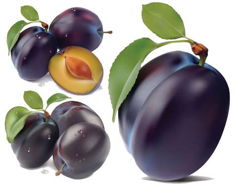 Plum Png Transparent Images