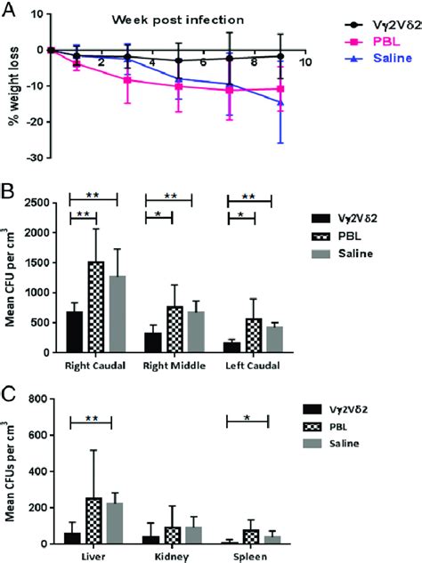 Adoptive Transfer Of Vg2vd2 T Cells In M Tuberculosisinfected Macaques Download Scientific