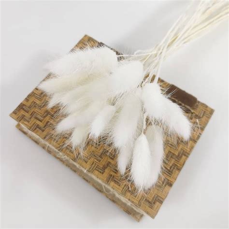 Donghome 120pcs Bunny Tails Dried Flowers Boho Home Decor Flower Arrangement Pampas Grass