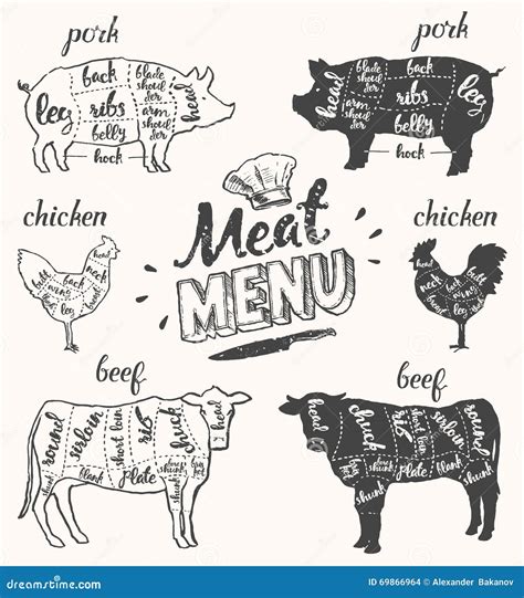 Beef Cuts Template Menu Design For Restaurant Cafe Cartoon Vector