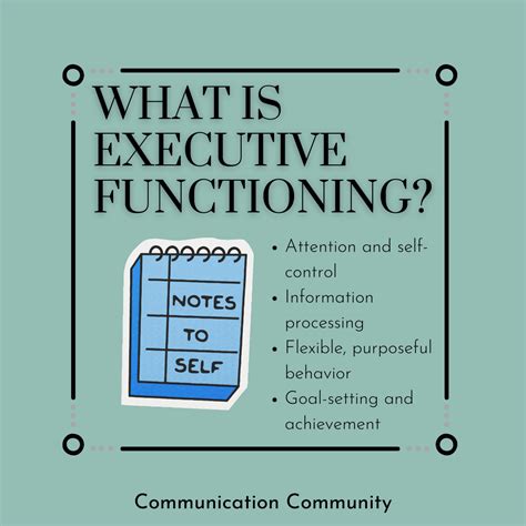 What Is Executive Functioning And Why Is It Important