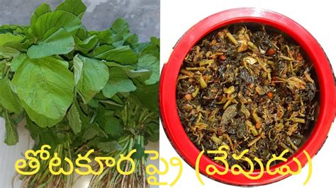 How To Make Thotakura Fry In Telugu Amaranthus Recipes Arunasri