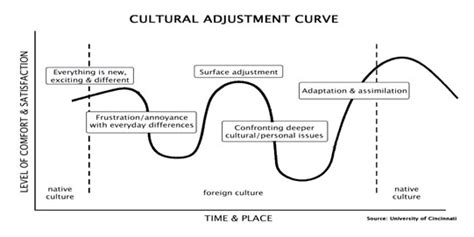 Cultural adjustment and culture shock - ExpatPsy