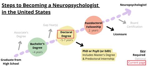 Doctoral Degree And Applications New2neuropsychology