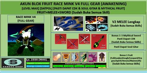 Buy Akun Akun Blox Fruit Race Mink V Full Gear Awakening Mythical