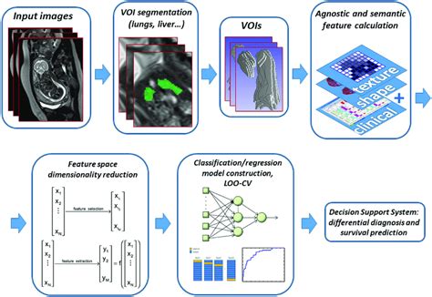 Machine Learning Pipeline The Flowchart Illustrates The Radiomics Download Scientific Diagram