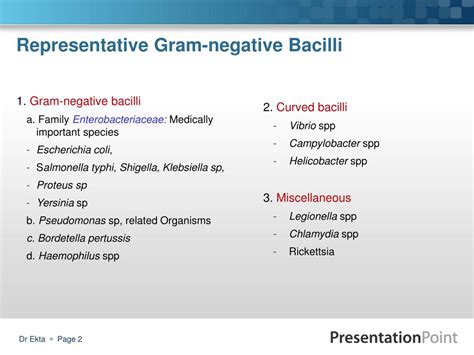 Ppt Medically Important Gram Negative Bacilli Part 2 Powerpoint Presentation Id5525330