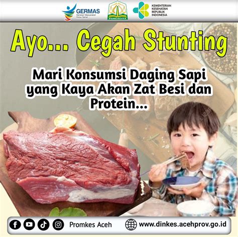 Iklan Cegah Stunting Dengan Protein Hewani Harian Daerah