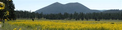 Sunset Crater Volcano | SCA Field Leaders