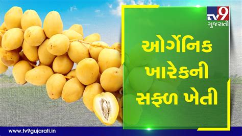 Video Gujarati News Surendranagars