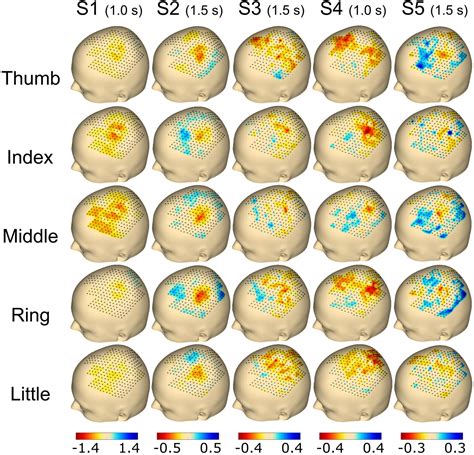 Frontiers Individual Finger Movement Decoding Using A Novel Ultra