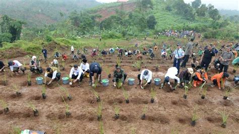 RHL Langkah Pemulihan Lingkungan Dan Pencegahan Bencana