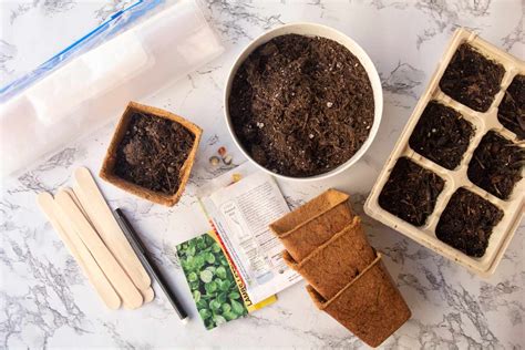 How To Start Seeds Indoors The Complete Guide