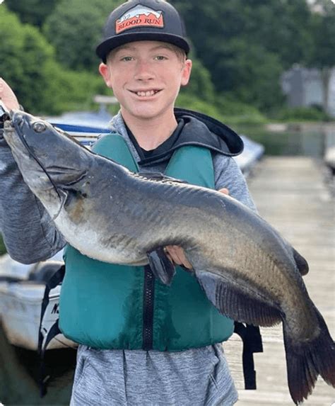 Njdep Fish And Wildlife Channel Catfish