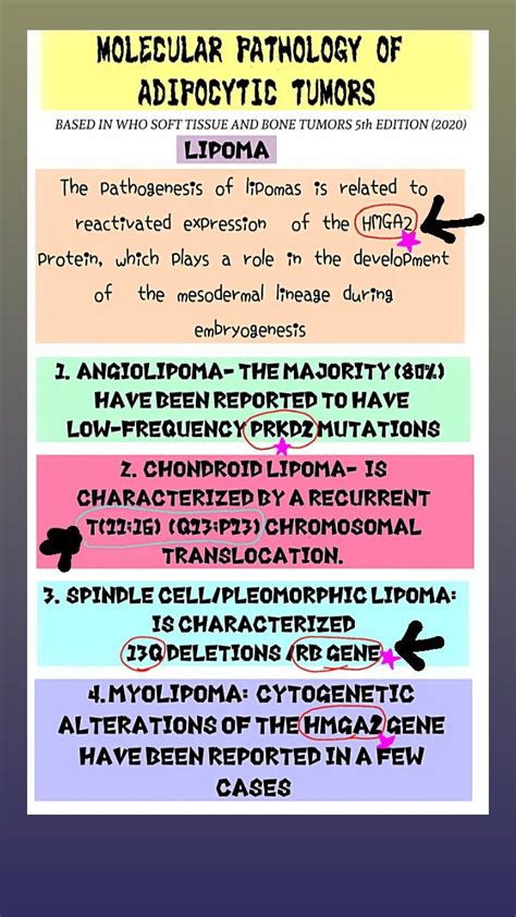 The Pathogenesis Of Lipomas Is Related To Reactivated Expression Of The