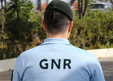 Operação De Fiscalização Da Gnr Deteta 258 Infrações Em Todo O País