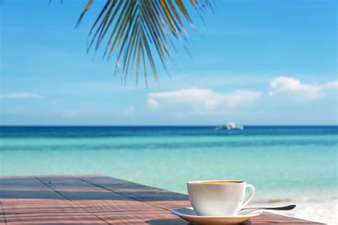 Coffee Beach Pictures Download Free Images On Unsplash