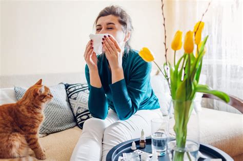 Tips for Managing Your Allergies | Spartanburg | Greer ENT & Allergy