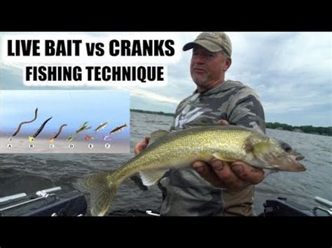 Jigging Live Bait Vs Casting Crankbaits For Walleyes