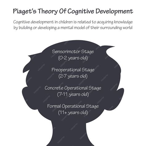 Théorie De Piaget Sur Linfographie Vectorielle Du Développement