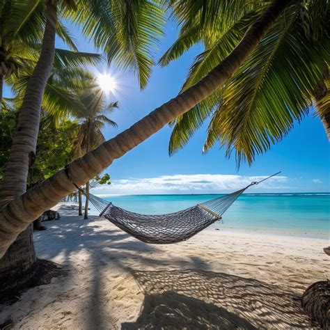 Premium Ai Image Arafed Hammock Between Two Palm Trees On A Beach