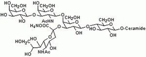 Ganglioside GM₁ Ammonium Salt Bovine Brain CAS 37758 47 7