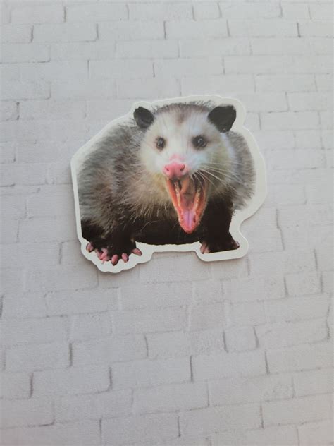 Opossum Sticker Water Bottle Laptop Notebook Stickerglossy Vinyl Etsy