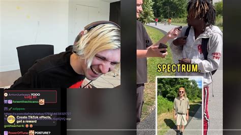 Xqc Dies Laughing At This Tiktok Youtube