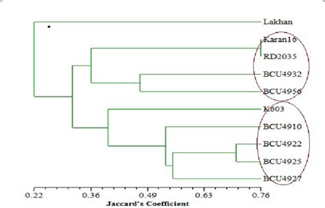 Dendrogram Resulting From An Upgma Cluster Analysis Of 10 Barley