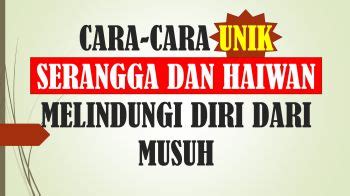 Cara Cara Unik Serangga Dan Haiwan Melindungi Diri Daripada Musuh