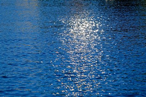 Free Download Water Sun Sparkle Nature Lake Reflection Shimmer