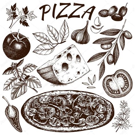 Vintage Pizza Sketch Set Stock Vector Geraria 66097797