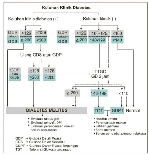 Sikkahoder Cara Mendiagnosa Penyakit Diabetes Melitus