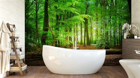 Forest Wallpaper & Tree Wall Murals | Wallsauce US