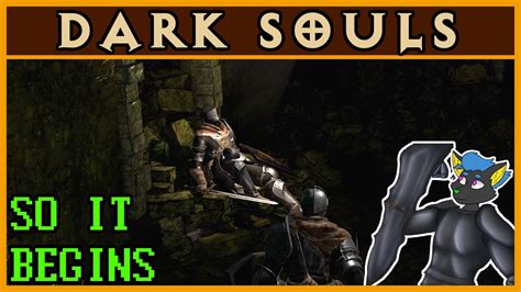 Practice For Elden Ring Dlc Dark Souls Youtube