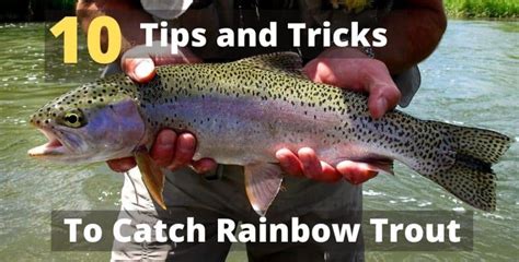 10 Rainbow Trout Fishing Tips And Tricks