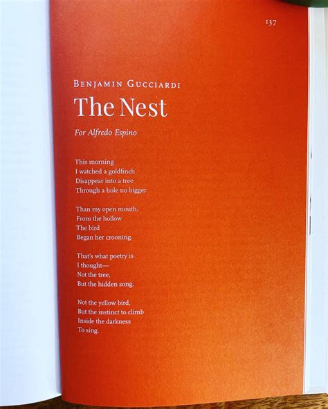 The Nest Included In Orion Magazines Spark Birds Anthology