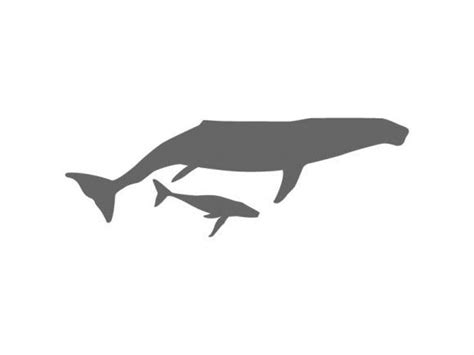 Humpback Whales Stencil Stencils Whale Moose Art