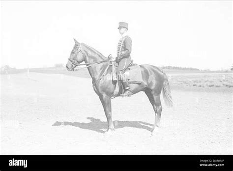 Aspirant Of Assigned A Tribal Horse Aspirant Wearing The Regiments M