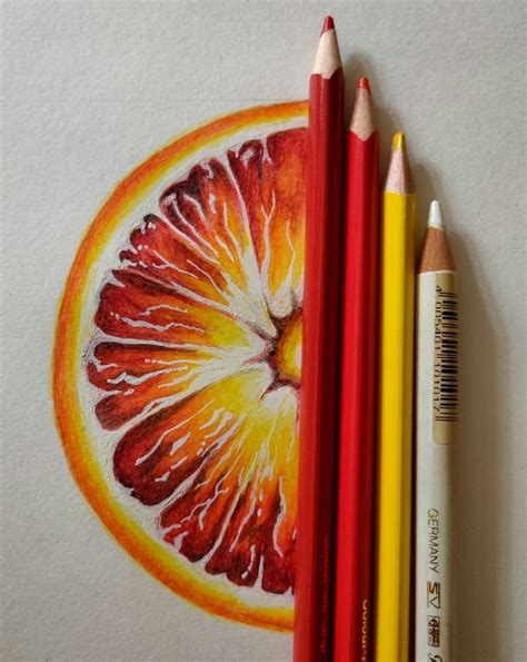 Fruit art drawings, Colored pencil artwork ideas, Color pencil art