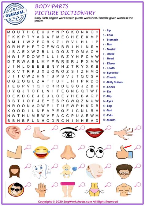 Body Parts Printable English Esl Vocabulary Worksheets Engworksheets