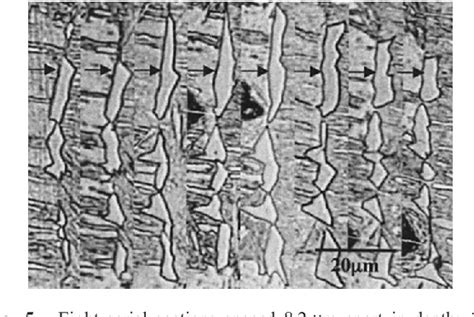 Table 1 From Serial Sectioning And 3D Reconstruction Of Ferrite