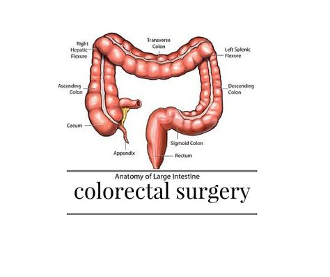 Useful information and tips about colorectal surgery – AshfordColorectalSurgeon.co.uk