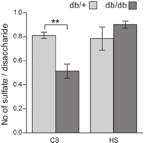 Degree Of Sulfation Of Chondroitin Sulfate Dermatan Sulfate CS DS And