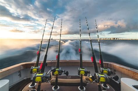 Everything To Know About Sarasota Deep Sea Fishing