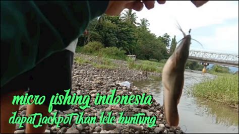 Micro Fishing Indonesia Mancing Uceng Dapat Jackpot Ikan Lele YouTube