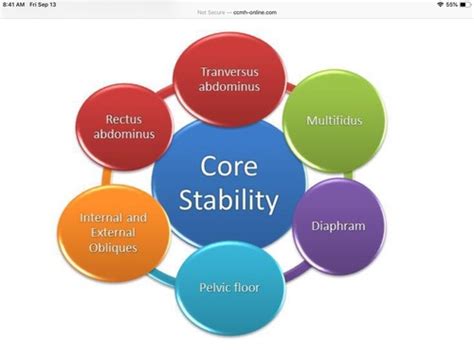 TEX - Topic #3 Core Stability Flashcards | Quizlet